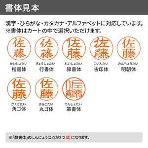 シャチハタ データーネーム 24号 光沢紙用 スタンド式（Aタイプ）